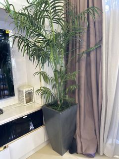 (Category: ) located in . Submitted by dino171 (Listing ID 1407954062, Image 1). Description: .
