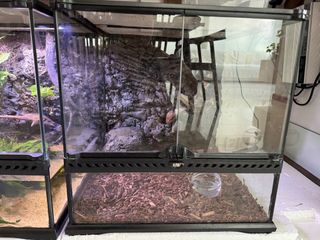 (Category: ) located in . Submitted by nshkn (Listing ID 1407942088, Image 1). Description: .