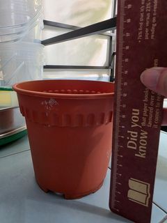 (Category: ) located in . Submitted by howie90 (Listing ID 1408008445, Image 1). Description: .