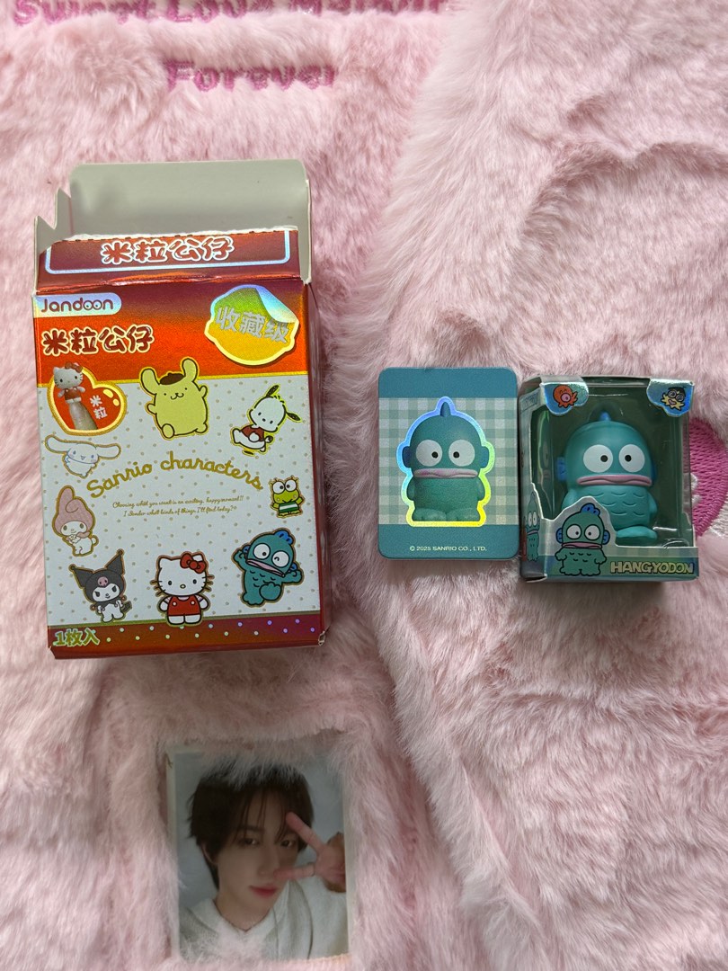 Sanrio Characters Blind Box Jandoon - Hangyodon, Hobbies & Toys, Toys ...