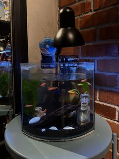 (Category: ) located in . Submitted by experimentalstore (Listing ID 1408088024, Image 1). Description: .