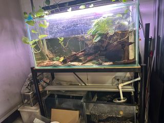 (Category: ) located in . Submitted by justennn_ (Listing ID 1408293066, Image 1). Description: .