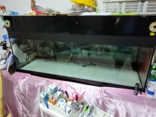 (Category: ) located in . Submitted by skotbob (Listing ID 1408228010, Image 1). Description: .