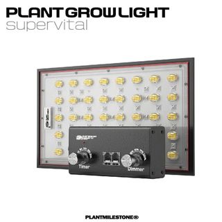 （分類：）位於 。 由 just_grow 提交（商品編號 1408287734，圖片 1）。簡介： 。