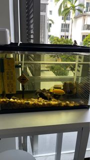 (Category: ) located in . Submitted by hey1621 (Listing ID 1408154561, Image 1). Description: .