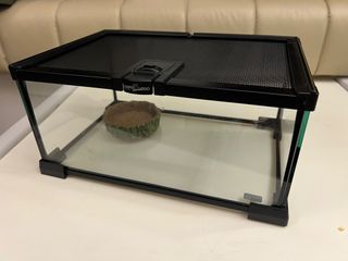 （分類：）位於 。 由 roylokmanson 提交（商品編號 1408256734，圖片 1）。簡介： 。
