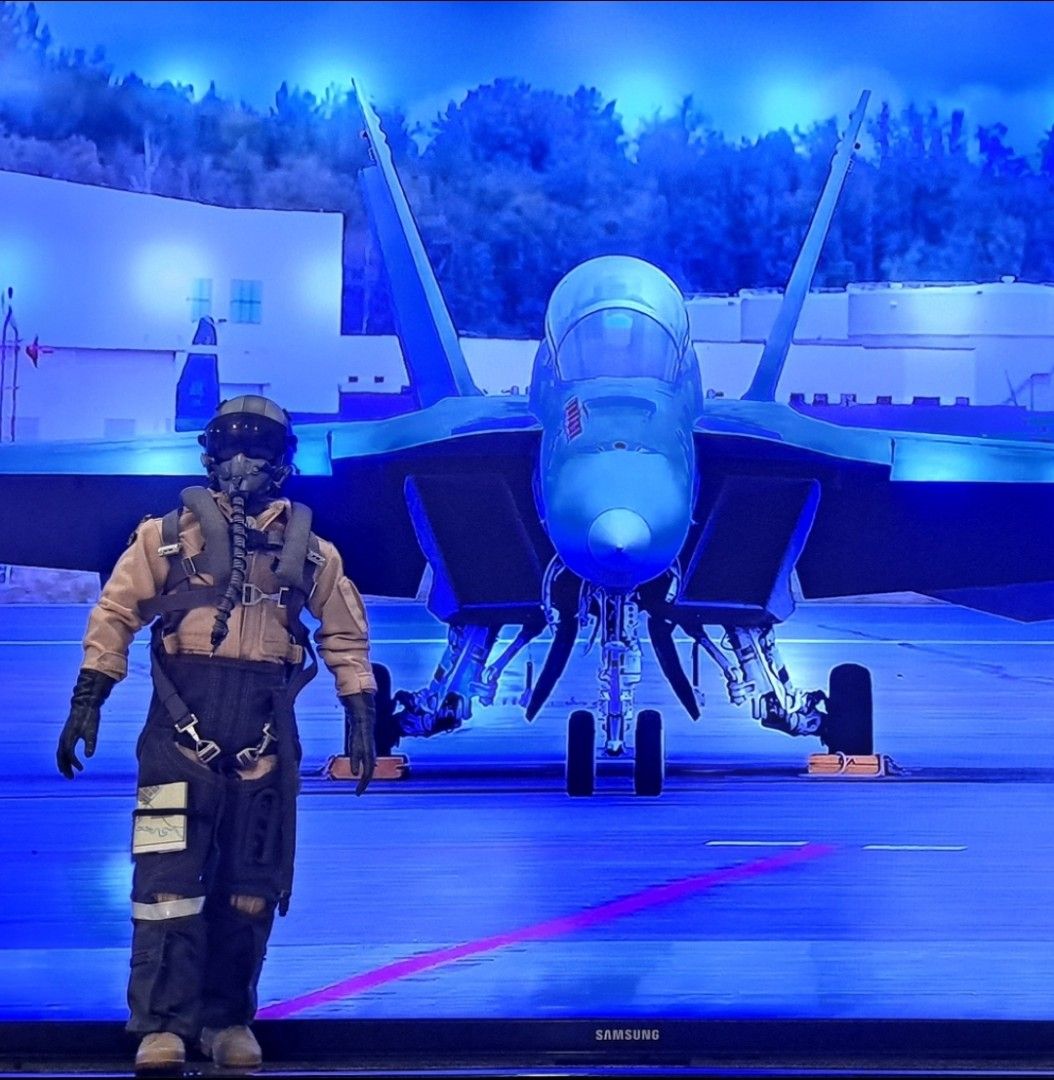 1/6 Scale Pilot - US Navy Pilot Action Figure, Hobbies & Toys, Toys ...