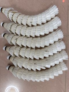 （分類：）位於 。 由 _nomoney_ 提交（商品編號 1408361013，圖片 1）。簡介： 。