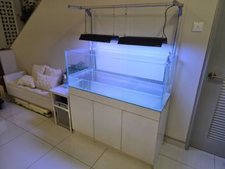 (Category: ) located in . Submitted by jascoenterprise (Listing ID 1408436272, Image 1). Description: .