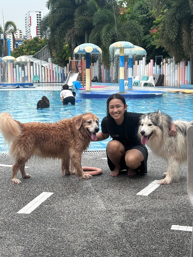 (Category: ) located in . Submitted by pawlovessssss (Listing ID 1408420186, Image 1). Description: .