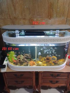(Category: ) located in . Submitted by Skyblue (Listing ID 1408403832, Image 1). Description: .