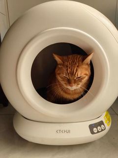 (Category: ) located in . Submitted by furpet (Listing ID 1408547974, Image 1). Description: .