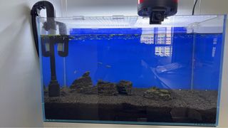 (Category: ) located in . Submitted by cp1688 (Listing ID 1408548267, Image 1). Description: .