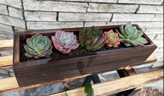 （分類：）位於 。 由 jan11001 提交（商品編號 1408513329，圖片 1）。簡介： 。