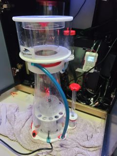 （分類：）位於 。 由 garranho 提交（商品編號 1408597548，圖片 1）。簡介： 。