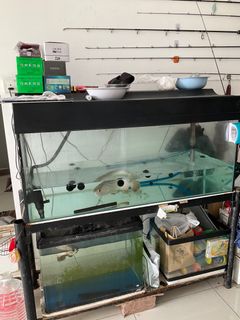 (Category: ) located in . Submitted by beh.mhiang (Listing ID 1408567032, Image 1). Description: .