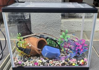 (Category: ) located in . Submitted by skrvk (Listing ID 1408574087, Image 1). Description: .