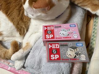 （分類：）位於 。 由 rachelself 提交（商品編號 1408643189，圖片 1）。簡介： 。