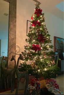 (Category: ) located in . Submitted by jxwone (Listing ID 1408853549, Image 1). Description: .