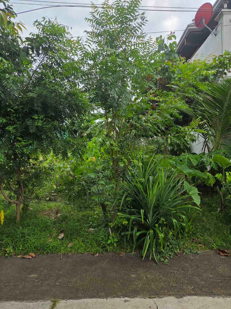 (Category: ) located in . Submitted by thatsbrokerraven (Listing ID 1408765801, Image 1). Description: .