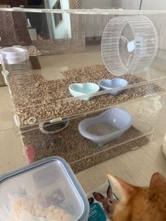 (Category: ) located in . Submitted by rumourhasit (Listing ID 1408705916, Image 1). Description: .