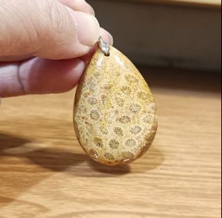 由 hululucat (刊登 ID 1350609746，圖片 1) 提交，位於 的 (類別：)，說明：。