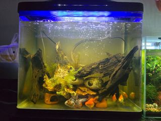 (Category: ) located in . Submitted by silahk (Listing ID 1350640457, Image 1). Description: .