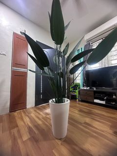 (Category: ) located in . Submitted by lyza_izz (Listing ID 1350594497, Image 1). Description: .