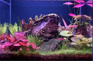 (Category: ) located in . Submitted by ejyechen (Listing ID 1352323767, Image 1). Description: .