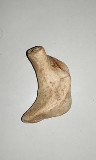 (Kategori: ) berada di . Dikirim oleh dwikidarma57886 (ID iklan 1352327376, Gambar 1). Deskripsi: .