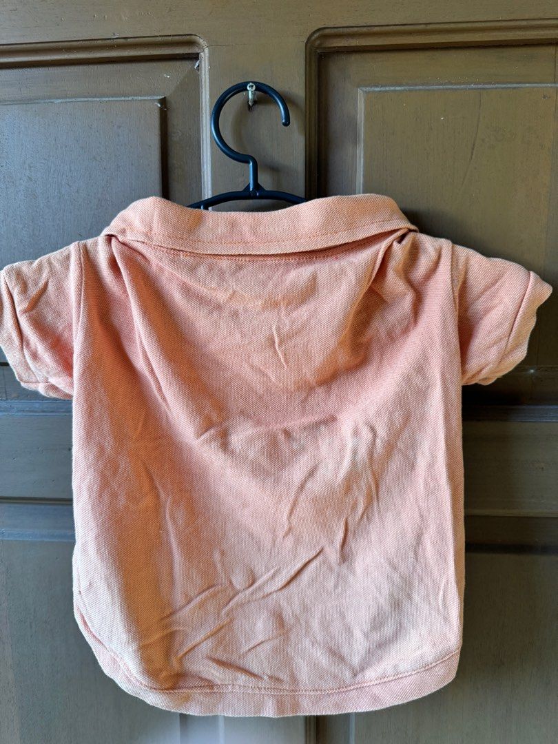 Dog clothes (collared shirt) (Category: Homes & Other Pet Accessories) located in Santa Rosa. Submitted by secondfinds8 (Listing ID 1352173043, Image 2). Description: Size: M-L (medium sized dogs).