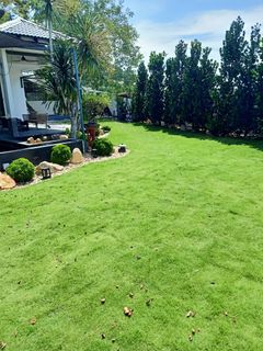 (Category: ) located in . Submitted by backyardgarden (Listing ID 1352331646, Image 1). Description: .