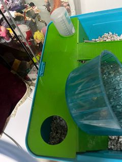 (Category: ) located in . Submitted by Sunshine222 (Listing ID 1352296386, Image 1). Description: .