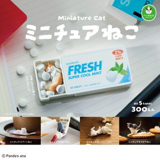 （分類：）位於 。 由 yukingpy0621 提交（商品編號 1352211774，圖片 1）。簡介： 。