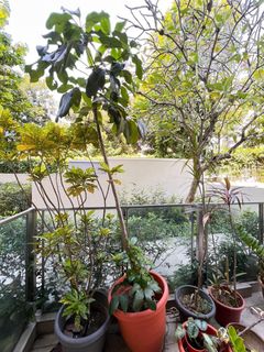 (Category: ) located in . Submitted by pysum (Listing ID 1352261941, Image 1). Description: .