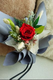 (Category: ) located in . Submitted by plantflorapy (Listing ID 1352180139, Image 1). Description: .