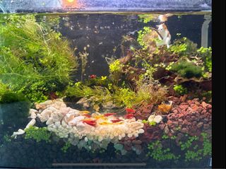 (Category: ) located in . Submitted by jinki39 (Listing ID 1352266725, Image 1). Description: .