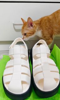 (Category: ) located in . Submitted by qeanutdutter (Listing ID 1352490324, Image 1). Description: .