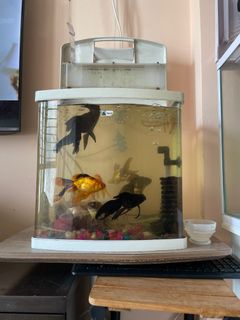 (Category: ) located in . Submitted by chandrus (Listing ID 1352402679, Image 1). Description: .