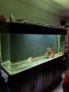 (Category: ) located in . Submitted by billbo900 (Listing ID 1352514719, Image 1). Description: .