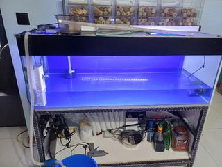 (Category: ) located in . Submitted by ijal88 (Listing ID 1352410224, Image 1). Description: .