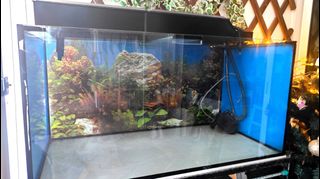 (Category: ) located in . Submitted by dotdot54 (Listing ID 1352379303, Image 1). Description: .