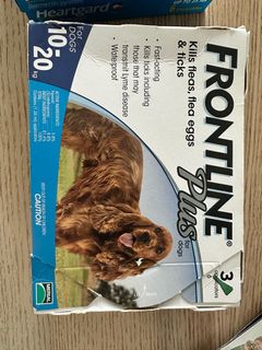 （分類：）位於 。 由 normachow 提交（商品編號 1352410225，圖片 1）。簡介： 。