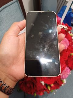 (Kategori: ) berada di . Dikirim oleh lenia21 (ID iklan 1352434879, Gambar 1). Deskripsi: .