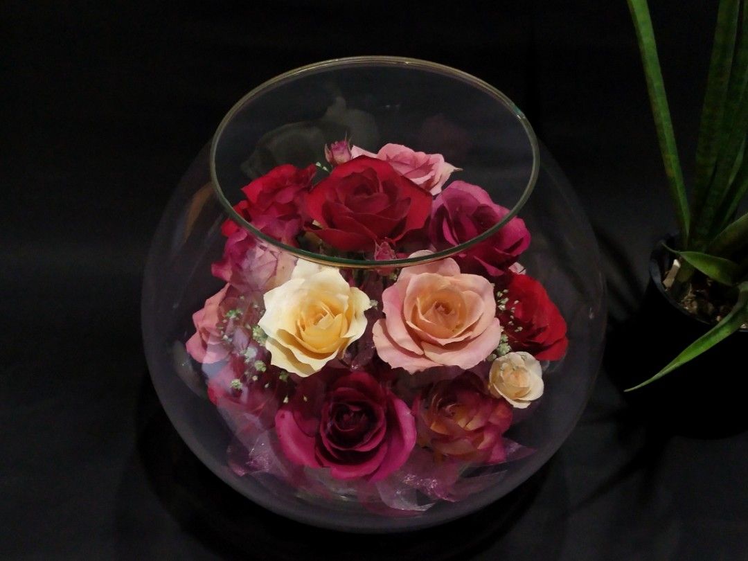 preserved roses flower bouquet (Category: Other Home Decor) located in Caloocan City. Submitted by m.hobby (Listing ID 1352351363, Image 3). Description: everlasting flower or pressed flowers * preserved roses flower bouquet * good condition * valentines gift * 7 inches taas, 8 inches diameter * ganda pang display or pang regalo *check pictures for item details *minor glass chip sa last pic. location: bagbaguin caloocan city gcash or cod lalamove
