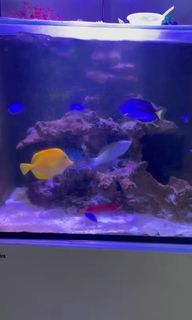 (Category: ) located in . Submitted by merchant_2 (Listing ID 1352339402, Image 1). Description: .