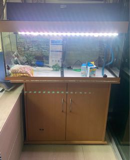 (Category: ) located in . Submitted by sassibn (Listing ID 1352608437, Image 1). Description: .