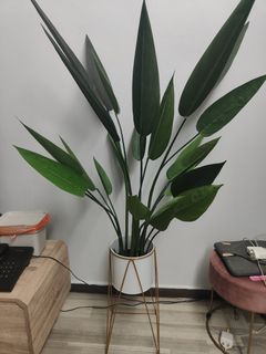 (Category: ) located in . Submitted by ctmoschino (Listing ID 1352643002, Image 1). Description: .