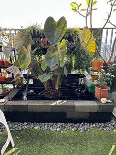 (Category: ) located in . Submitted by just_dm_oni (Listing ID 1352527285, Image 1). Description: .