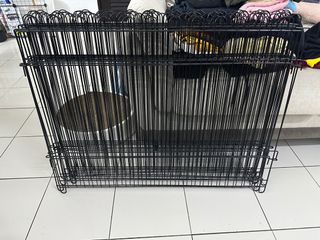 (Category: ) located in . Submitted by megteoh2 (Listing ID 1352672528, Image 1). Description: .
